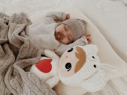 Metoo Polar Bear with heart